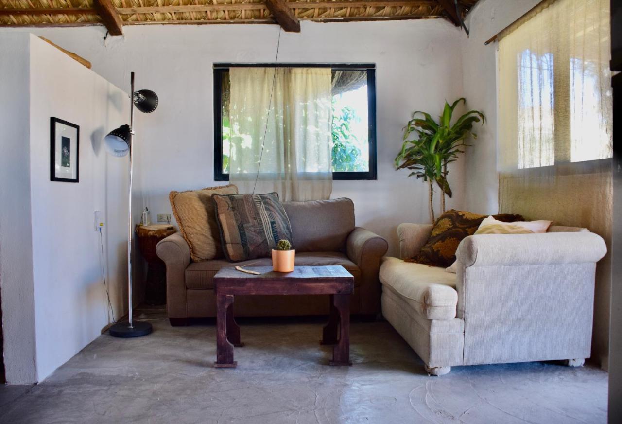 Rustico Lounge - Property In Front Of The Beach San José del Cabo 外观 照片